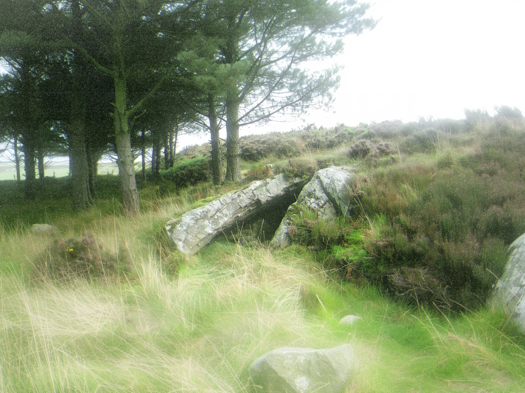 A surrealist image of an unkempt field
